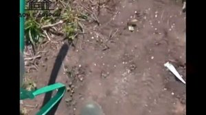 Как добыть дёготь