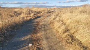 Свалка отходов у села Русская Бектяшка