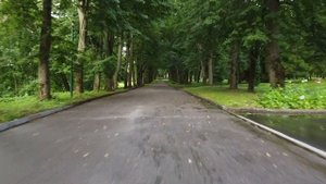 Московская область, Нарофоминск, деревня Литвиново