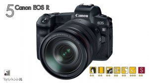 ТОП 10 от Топтыгина | Беззеркалки 2020