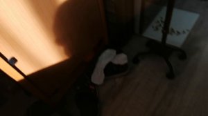 VID_20240831_082343.mp4