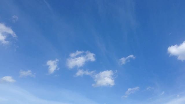 Прибалтика#2 || Лес || Море смотреть онлайн