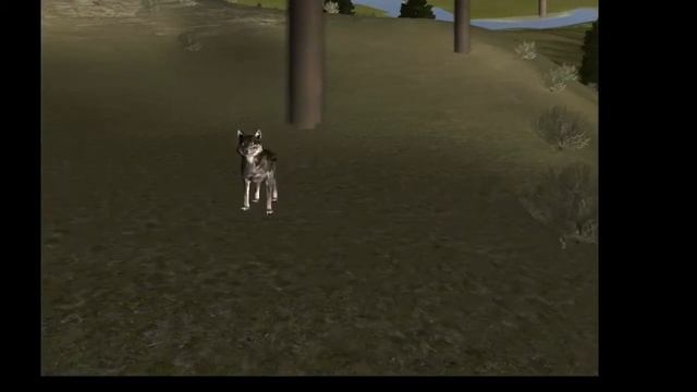  MacBook Pro Graphics/CPU Test  смотреть онлайн