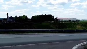 Есть ли в магазинах натуральное молоко, или откуда столько молока на прилавках