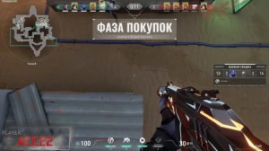 гайд на Sage для новичков Valorant