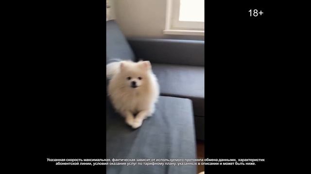 #домавозможно учиться, работать, отдыхать смотреть онлайн