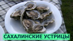 Самый вкусный тур на Сахалине - гастрономическое путешествие на озеро Буссе