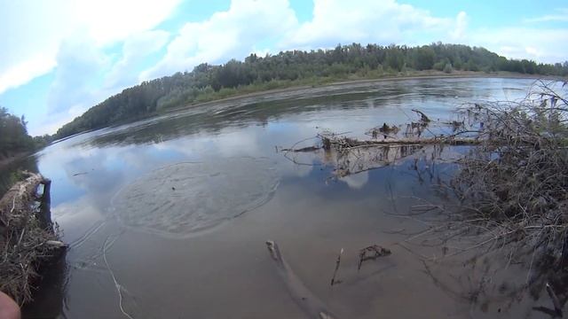Кастинговая сеть рыбалка! рыбалка на одном месте с прикормом! кидаю кастинговую сеть в одно место! смотреть онлайн