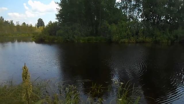 Поездка на Урочище Томзино смотреть онлайн