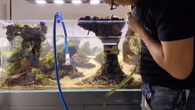 World Rank 120 - IAPLC 2020 Aquascape, Imaginarium смотреть онлайн