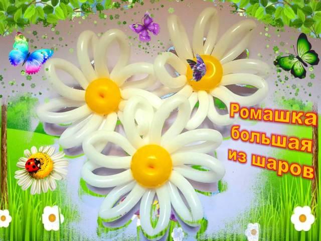 Ромашки из шаров. Как сделать. Мастер класс. Balloon daisies. Balloons. DIY. Hand made. How make