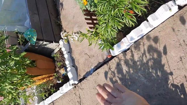 Как я провела Лето на даче смотреть онлайн