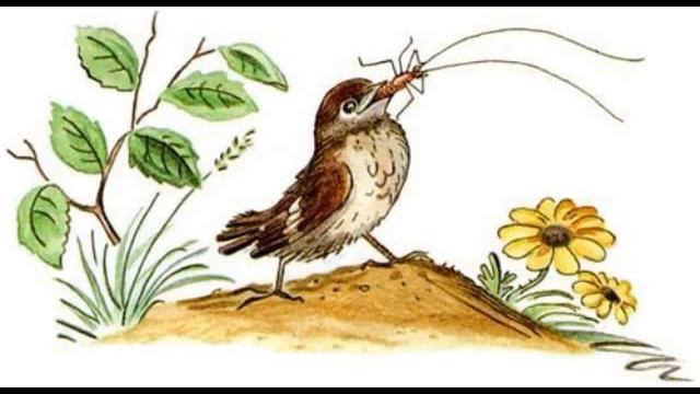 КОРНЕЙ ЧУКОВСКИЙ: Тараканище – Телефон - (Сказки с картинками).