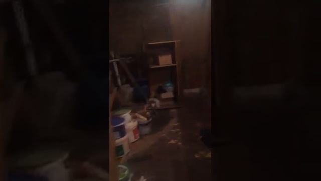 Продам дом в Кременчуге 0678192292 Звоните есть разные варианты!!! смотреть онлайн