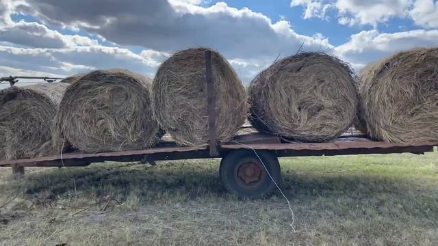 Сеноворошилки смотреть онлайн