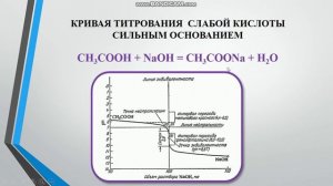 Анализ кривых титрования в методе нейтрализации. Кузьмич Е.С