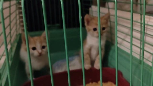 Находка в санатории ? смотреть онлайн