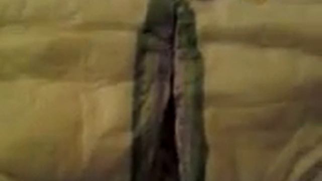 pampers size 7 смотреть онлайн