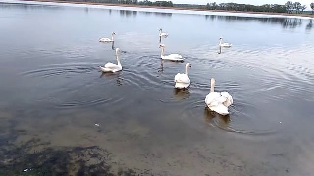 Святое Озеро Рогачев