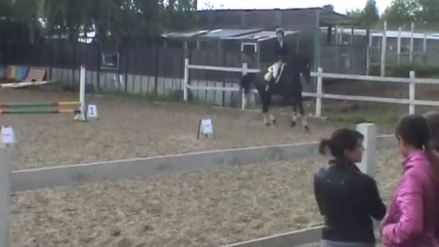 Валя и Ангара в Дзержинском лесу 28.05.17 смотреть онлайн