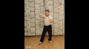 Импульсная волна Силы.