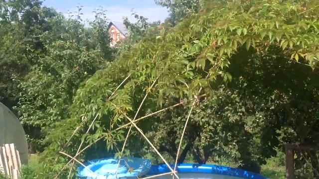 Беседка из стеклопластиковой арматуры покрытая диким виноградом смотреть онлайн