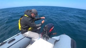 Море. Обычная рыбалка по Сахалински. Поймал и съел знатное чудовище