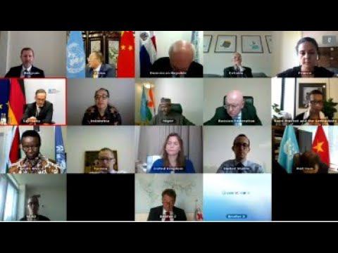 Statement by Vassily Nebenzia at the open VTC of UNSC members on “Implications of COVID-19”