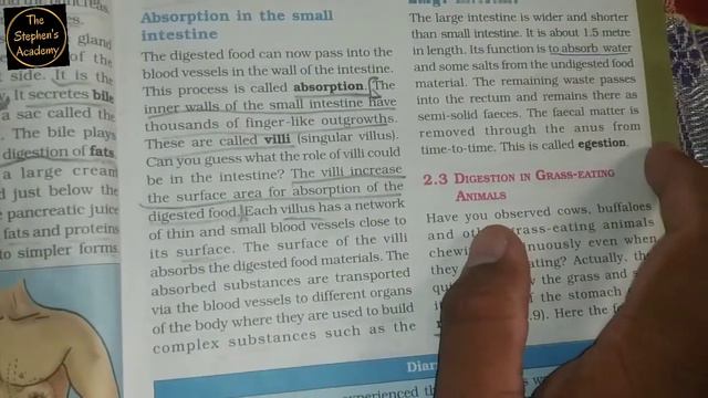 Functions of Small Intestine  Large Intestine  Class 7  Science by Prince Sir 