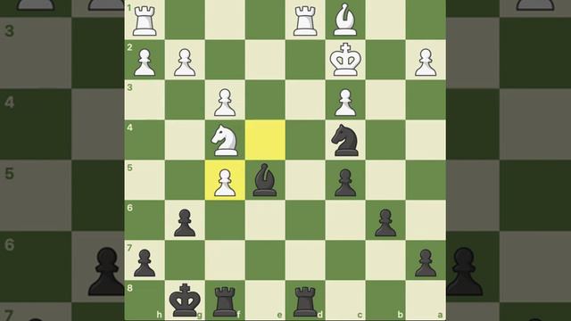 Grünfeld Defense. Vlastimil Babula (2569) x Viswanathan Anand (2788) - 2009.12.29