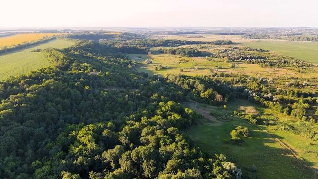 ПРИРОДА РОДНОГО КРАЯ | 4K | LUDOVICO EINAUDI (Phaeleh Remix) смотреть онлайн