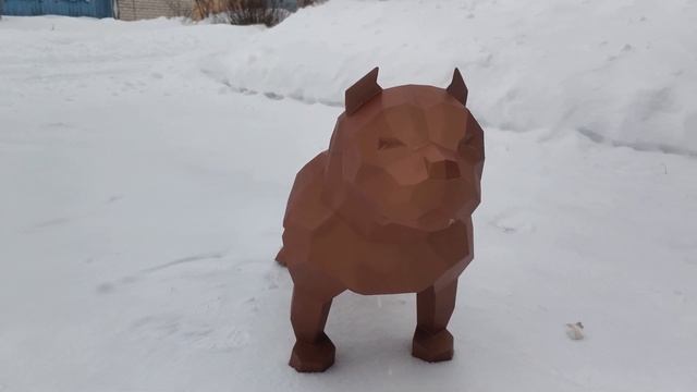 Американский булли #булли #американскийбулли #буллипокет
