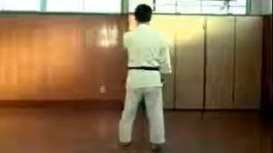 Сэйсан ката, Годзю рю карате до