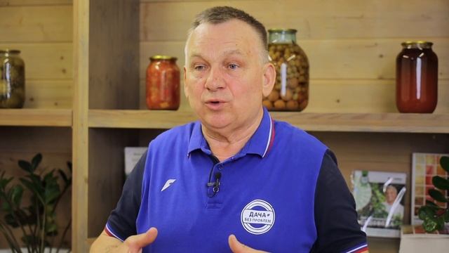 Как вырастить рассаду без проблем? Этот грунт поможет вашей рассаде!