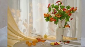 Тебя со мною нет.mp4