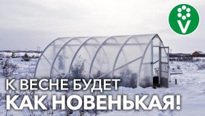 ЭТИ СОВЕТЫ ПОМОГУТ СОХРАНИТЬ ТЕПЛИЦУ ЗИМОЙ! Новую покупать не придется!