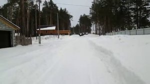 поселок Лесной Барнаул