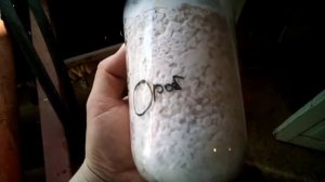 вешенка k17z12    часть 2