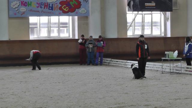 Соревнования по ОБ-2 в рамках Кубка России 2017 г. по Обидиенс. смотреть онлайн