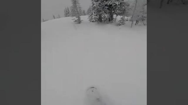 Фрирайд в Шерегеше смотреть онлайн