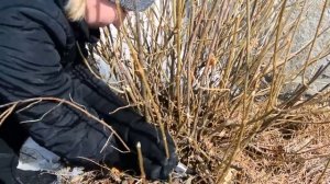 Центр природного земледелия "Сияние" г. Миасс