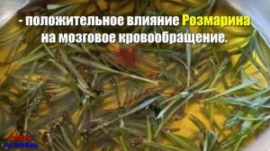 САМАЯ МОЩНАЯ Трава Для МОЗГА, СЕРДЦА, СОСУДОВ, НАДПОЧЕЧНИКОВ, СУСТАВОВ, КОЖИ, ВОЛОС и Не ТОЛЬКО..!