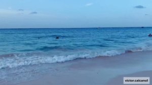 Playa Arena Gorda Punta Cana Dominican Republic |¿ Que tan limpia es la playa del Occidental Caribe