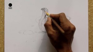 How To Draw A Snake: Pencil Sketch Snake Drawing