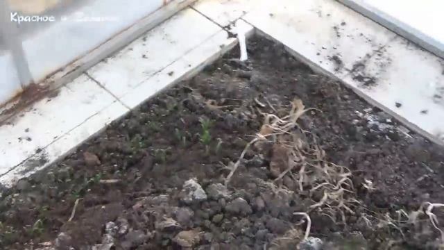 Открываем садовый сезон. Первое посещение участка.