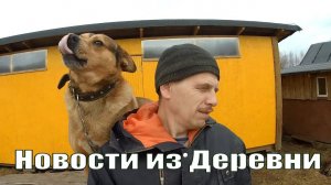 Свежие деревенские новости: индюки, бройлеры, перепела, стройка и жизнь в деревне