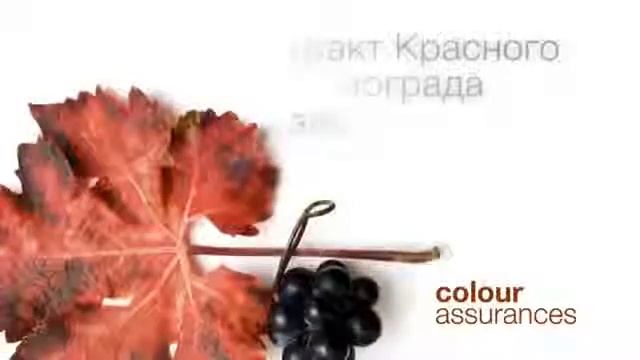 PERMESSE line BAREX Italiana Линия ПЕРМЕССЕ Барекс Итальяна смотреть онлайн