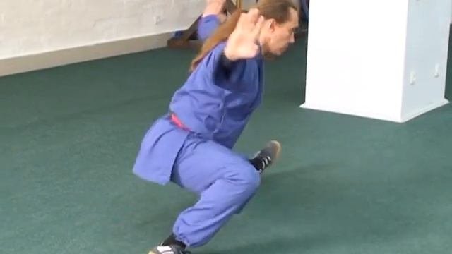 Техника Шаолиньского У-Шу.