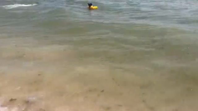 Медузы смотреть онлайн