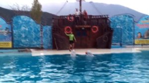 Акватория : театр морских животных Ялта